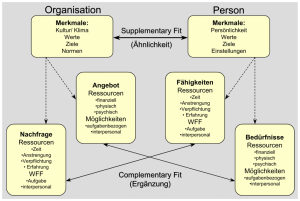 Abbildung: Unterschiedliche Konzeptualisierungen von P-O Fit (aus Kristof, 1996) (WFF = Wissen, Fähigkeiten und Fertigkeiten)